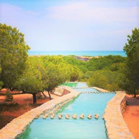 Apartment With Pool, Sea Views & Balcony Less Than 10Min Walk To La Mata Beach! Torrevieja Dış mekan fotoğraf
