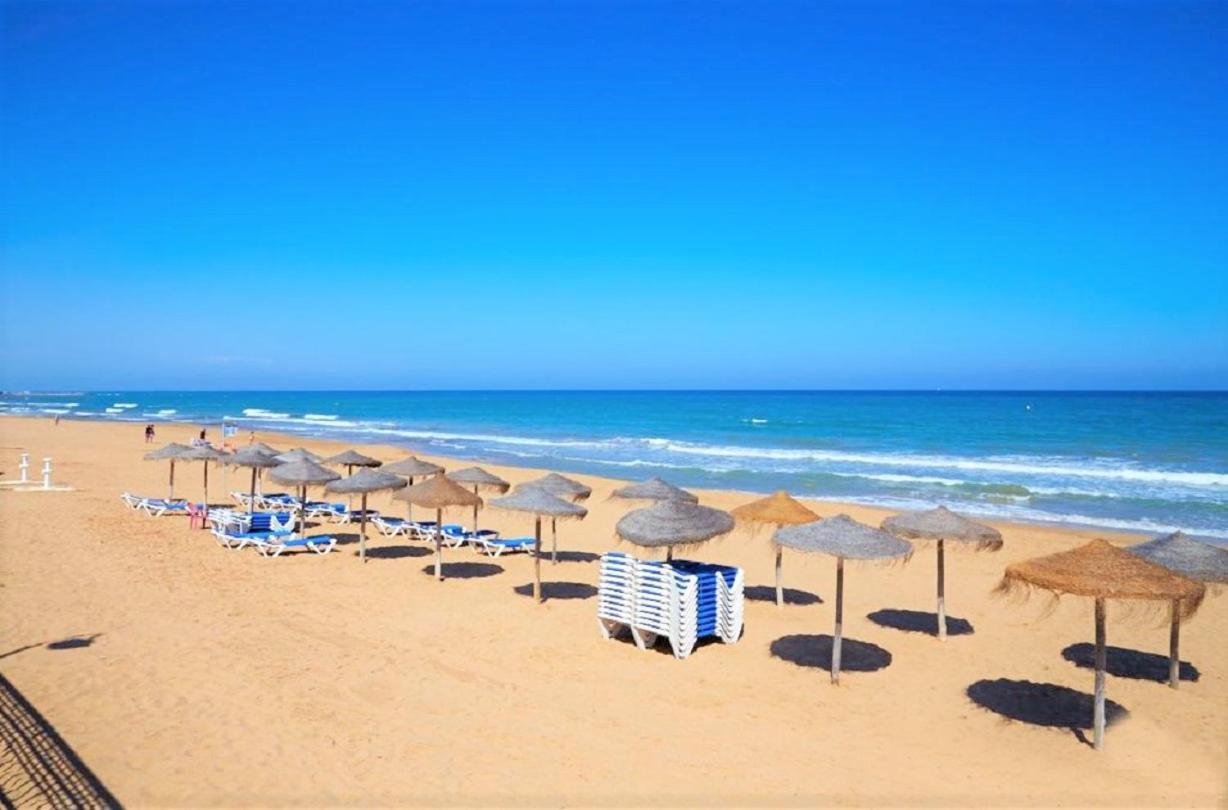Apartment With Pool, Sea Views & Balcony Less Than 10Min Walk To La Mata Beach! Torrevieja Dış mekan fotoğraf